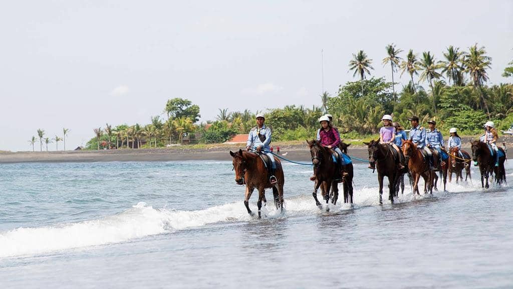 Horseback Riding Adventure
