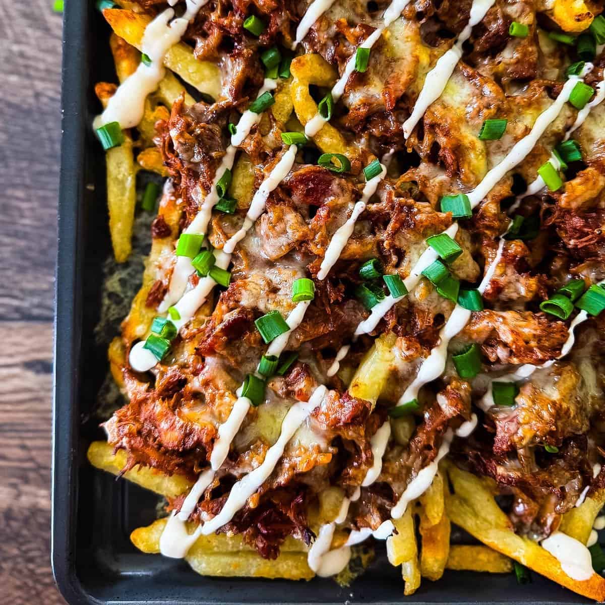 Pulled Pork Fries