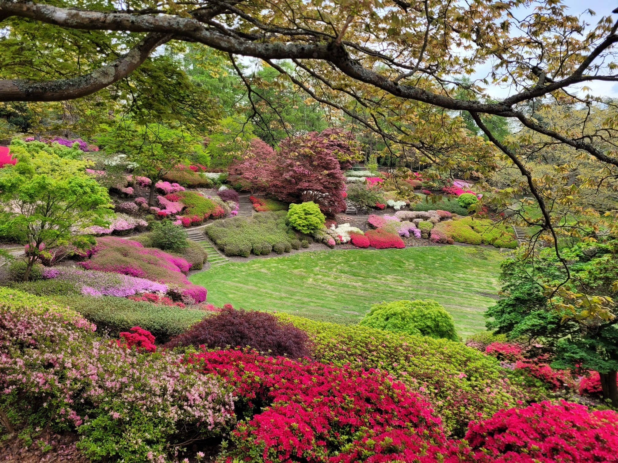 The Valley Gardens