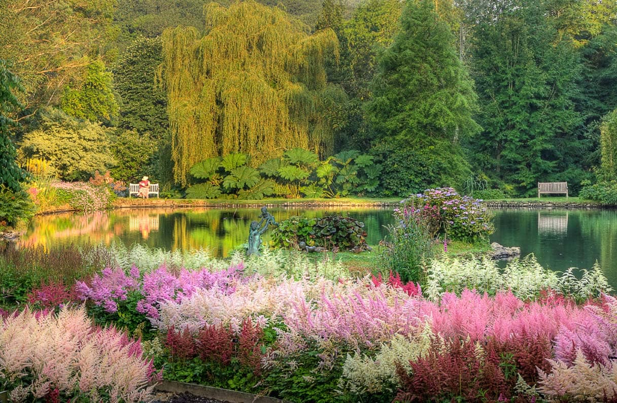 Serene Lakes