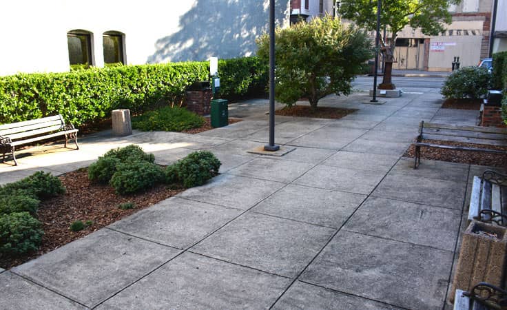 Peaceful Courtyard