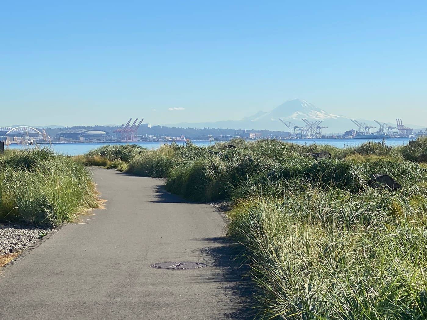 Downtown Seattle Skyline