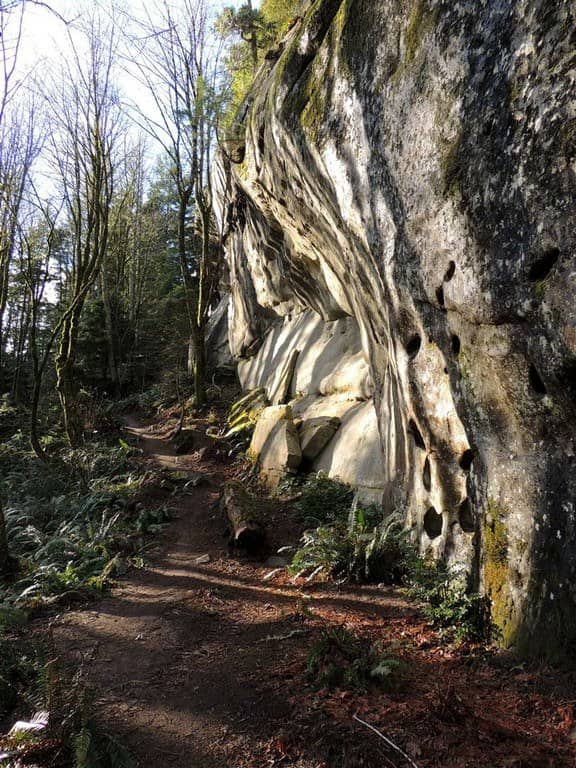 Hiking Trails