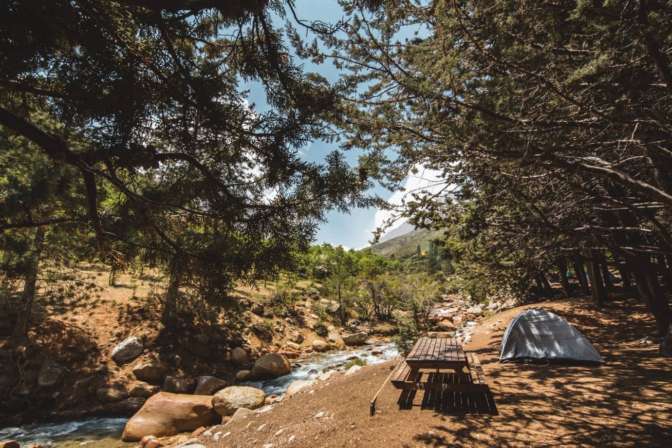 Camping Under the Stars