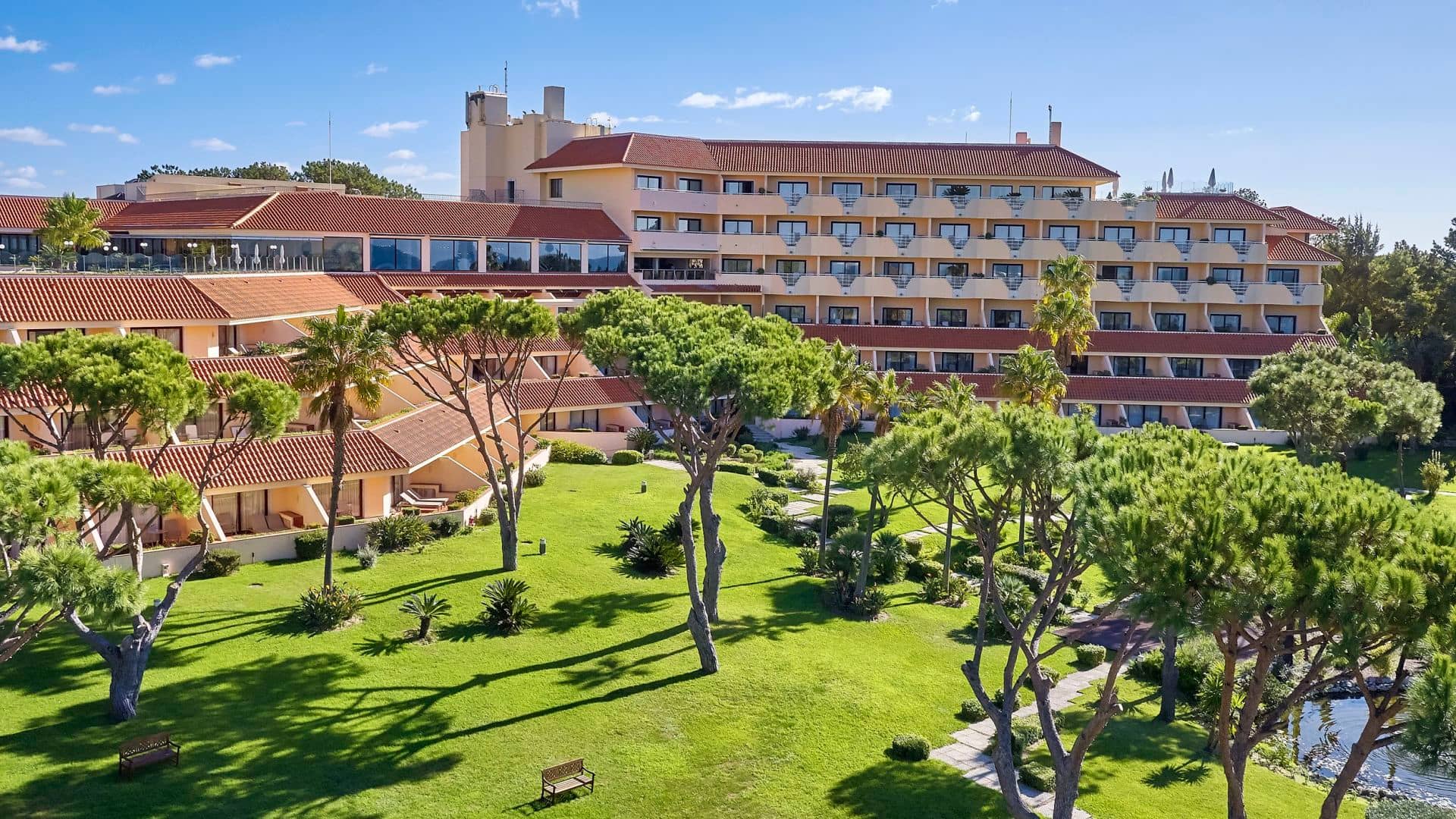 Gourmet Dining Experiences