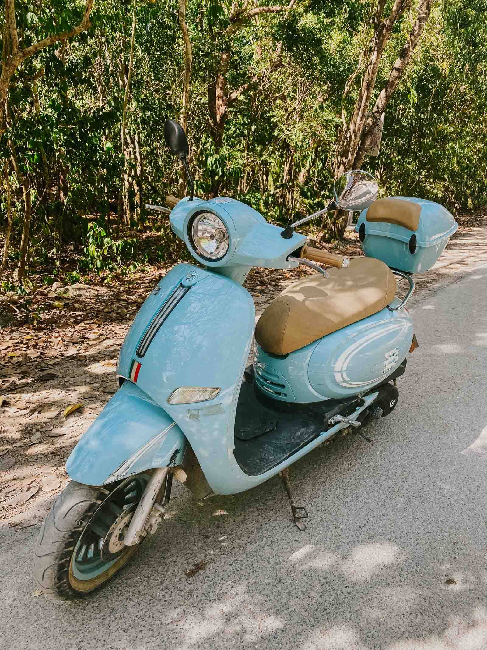 Scooter or Bike Exploration