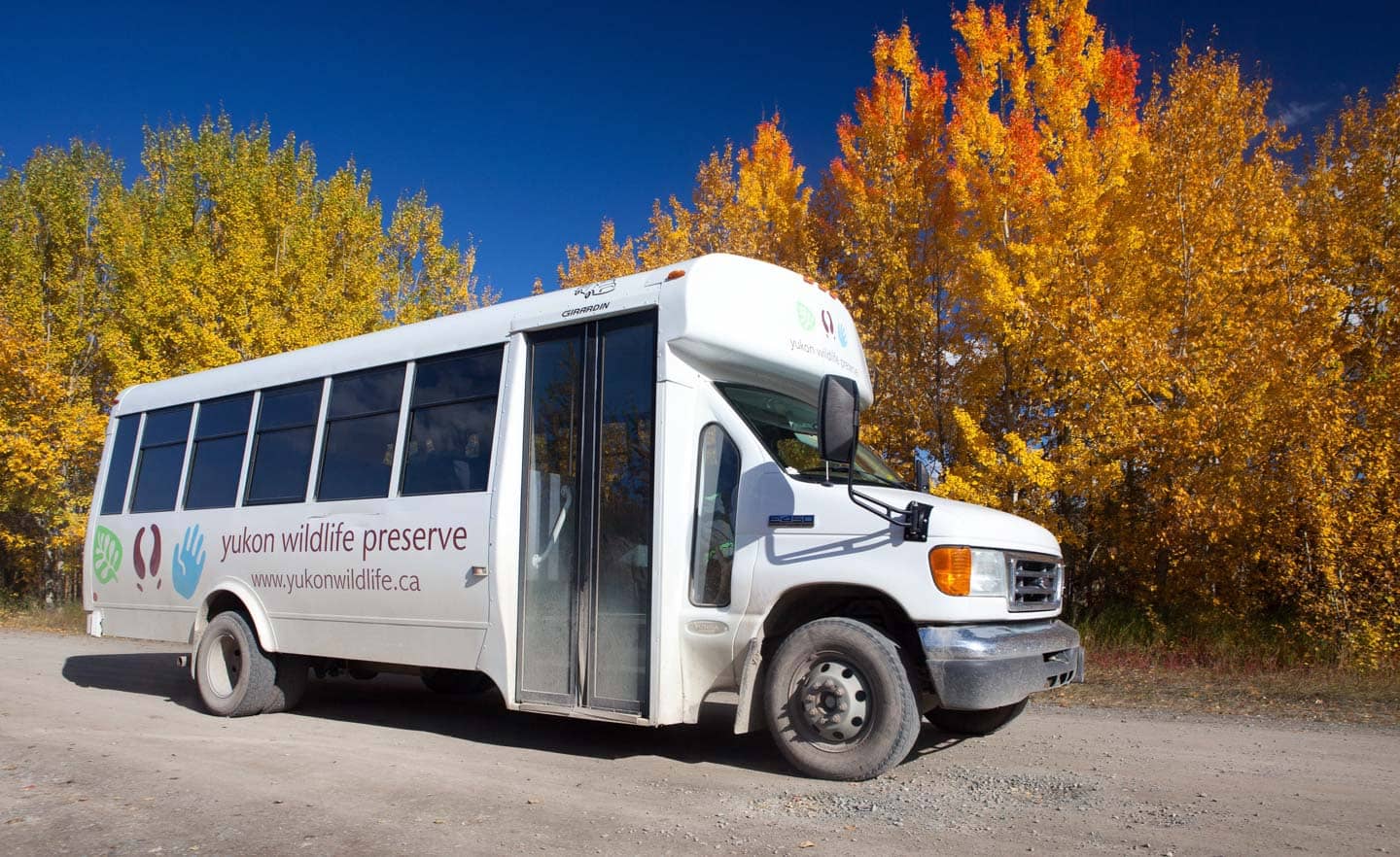 Guided Bus Tour