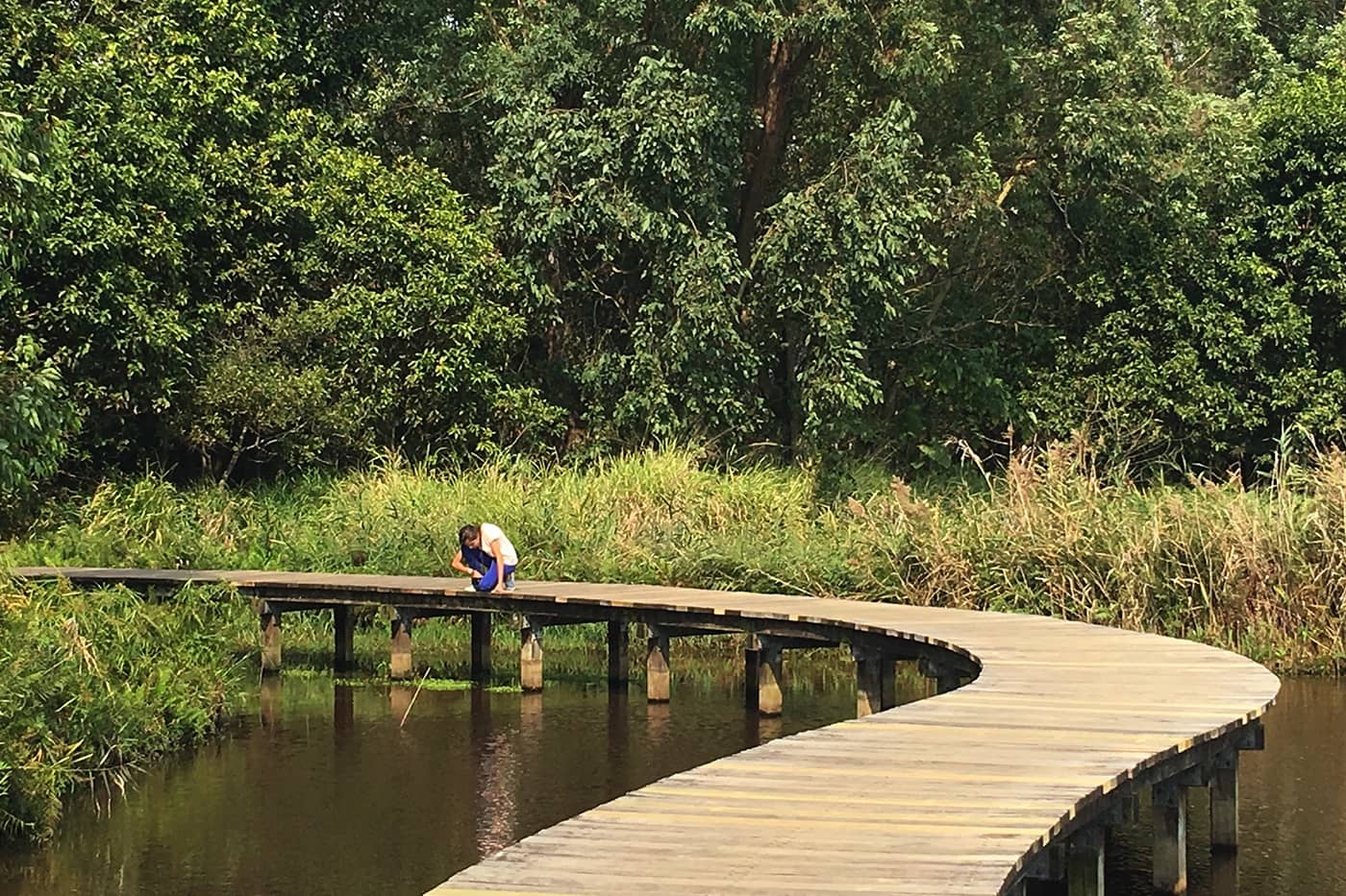 Charming Boardwalk Trails