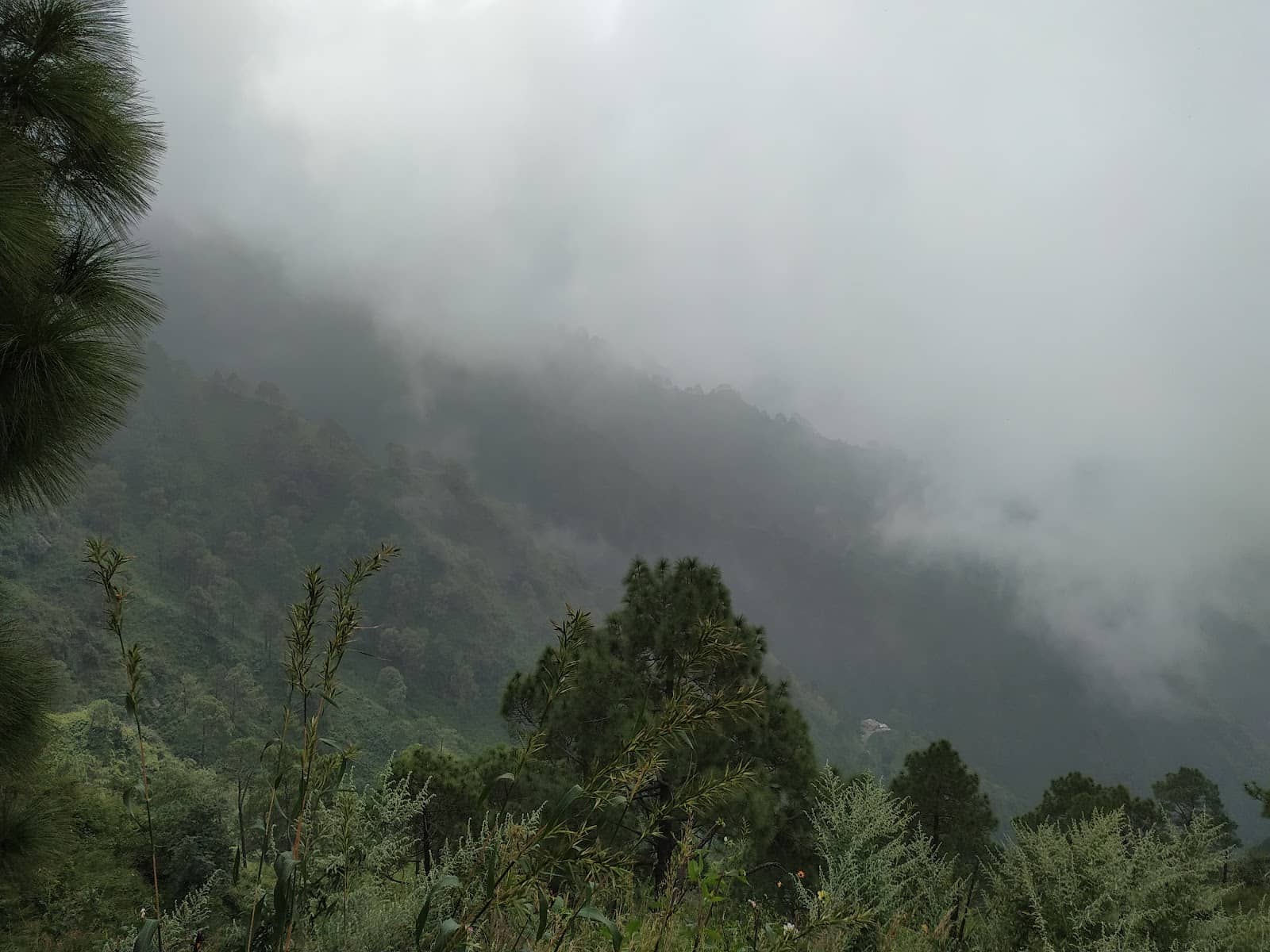 Jabli Jabli Trail (2026) – Best of TikTok, Instagram & Reddit Travel Guide