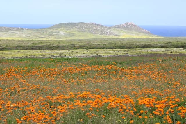 Flower Reverve Postberg Flower Reserve (2026) – Best of TikTok, Instagram & Reddit ...