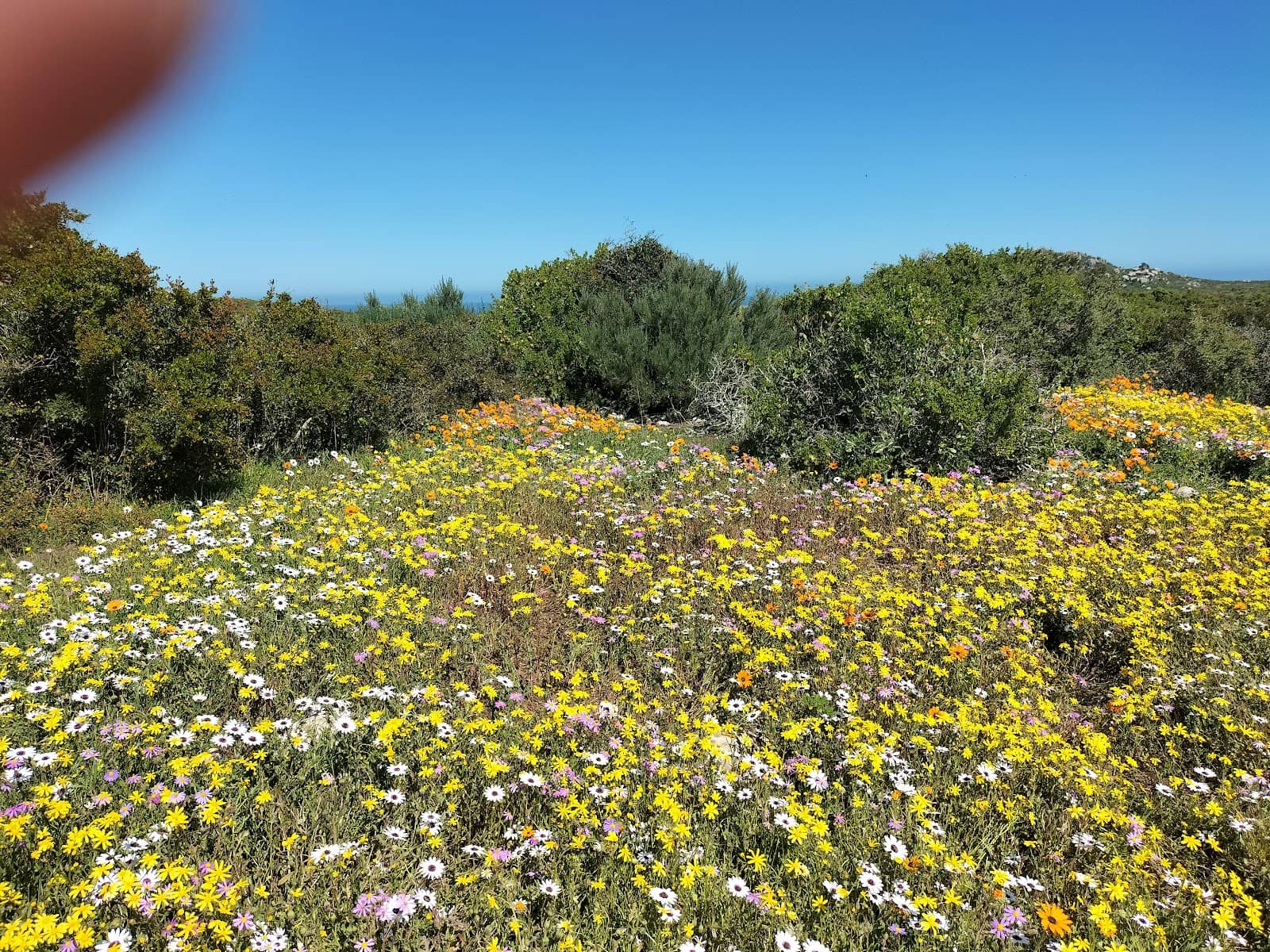 Flower Reverve Postberg Flower Reserve (2026) – Best of TikTok, Instagram & Reddit ...