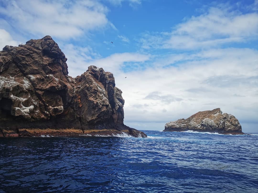 Gordon Rocks Actor Gordon Rocks Santa Cruz Island Galápagos (2026) – Best of TikTok ...