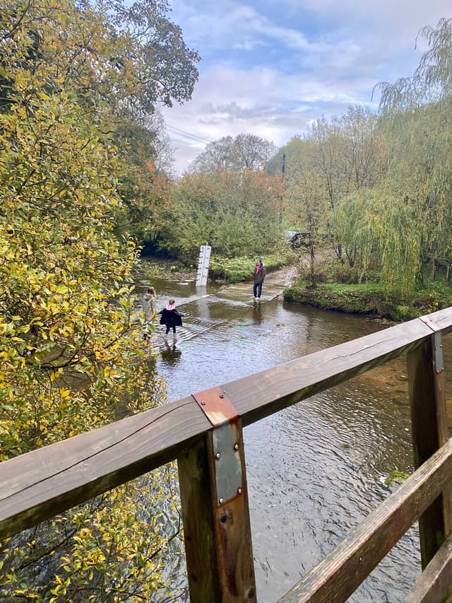Rutter Force Walk Rutter Force (2026) – Best of TikTok, Instagram & Reddit Travel Guide