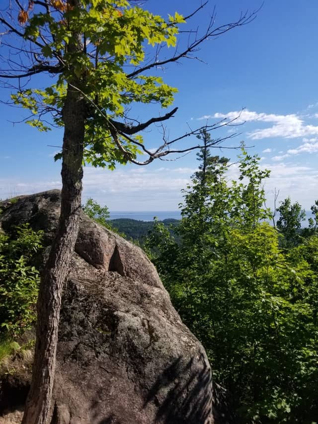 Hogs Back Rocks Hogsback Mountain (2026) – Best of TikTok, Instagram & Reddit Travel Guide