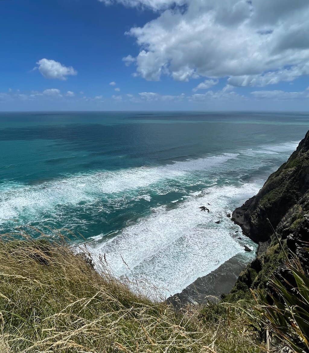Mercer Loop Track Mercer Bay Loop Track Auckland (2026) – Best of TikTok, Instagram ...